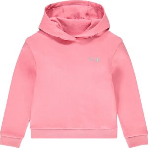 Sudadera Orchestra HFIPOT-ROM (Femenino)