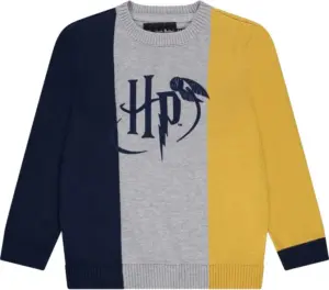 Pulóver Orchestra Harry Potter  HGAMOQ-GRM - Masculino