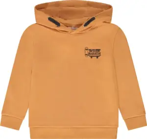 Sudadera Infantil Orchestra HGANKR-ORM - Masculina