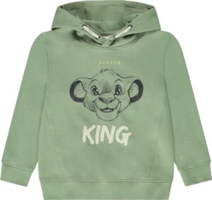 Sudadera con gorra Infantil Orchestra HGANLC-VEM - Masculina