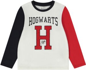 Camiseta manga larga Orchestra HGANF5-ECRI Harry Potter - Masculina