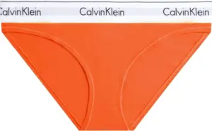 Bombacha Calvin Klein F3787 SAS - Femenina