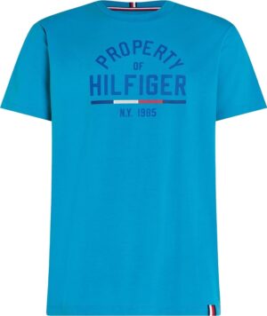 Camiseta Tommy Hilfiger MW0MW32641 DW5 - Masculina