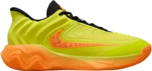 Calzado Nike Giannis Immortality 4 FQ3680 301 - Masculino