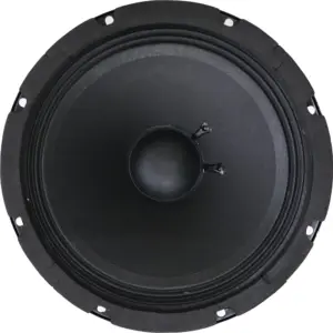 Subwoofer AlphaSonik Experienced AM64PRO 6.5" 300W