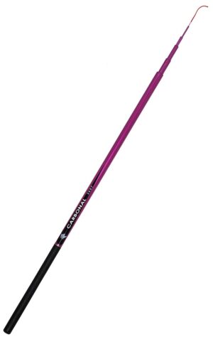 Vara Telescopica Top Fishing Carbonal 3607 - (3,50 metros)