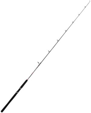 Vara Marine Sports Evolution GT EVGT-C661XH 6' 1,83m 20-40lb - (Reel Frontal)
