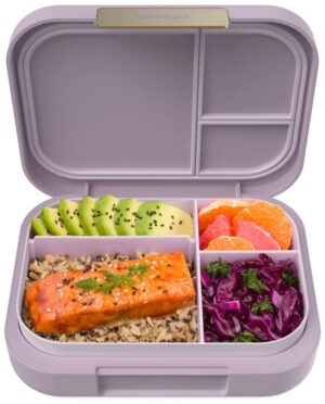 Lonchera Bentgo Modern Lunch Box - BGOMDN-O Orchid