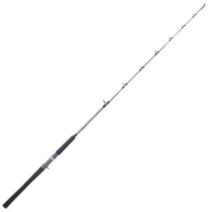 Vara Marine Sports Evolution GT2-C601M 6' (1,83m) 20-40lbs