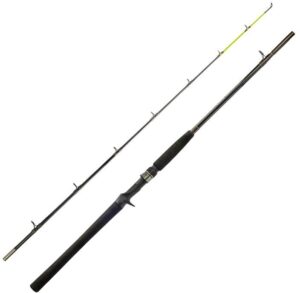 Caña Marine Sports Laguna 2 LA2-C602H 6' (1,83m) 20-40lbs
